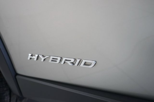 LEXUS UX 250h usata, con Sensore di pioggia