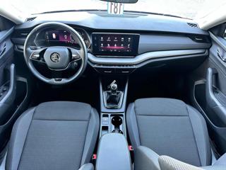 SKODA Octavia usata, con Servosterzo