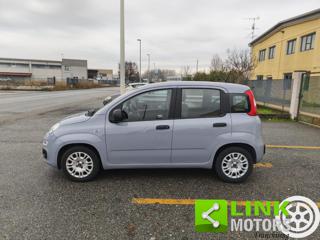 FIAT Panda usata, con Controllo trazione
