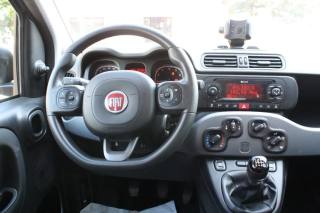FIAT Panda usata, con Airbag testa