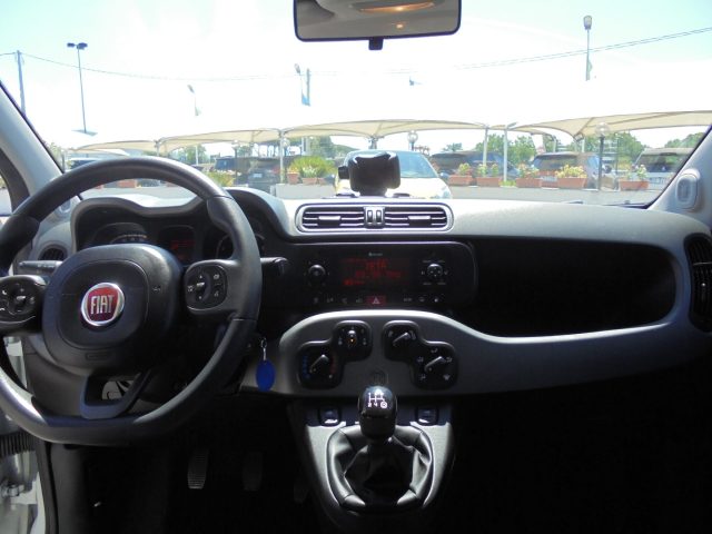 FIAT Panda usata 24