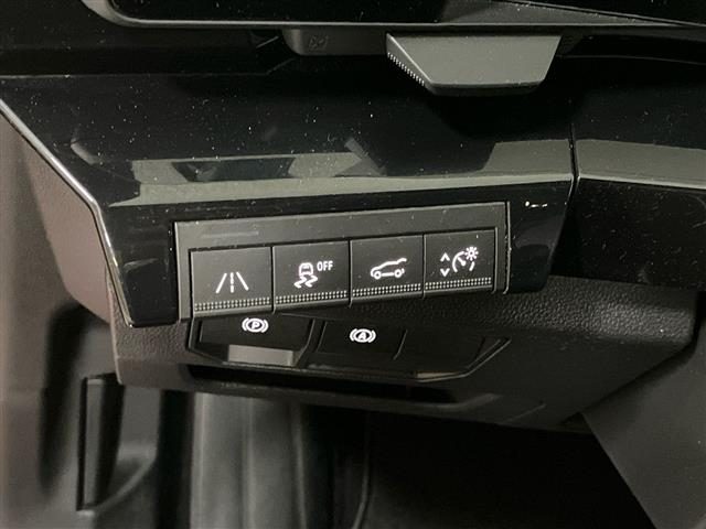 RENAULT Austral usata 27