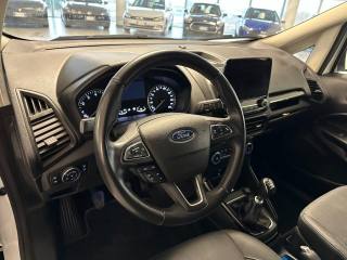 FORD EcoSport usata, con Cronologia tagliandi