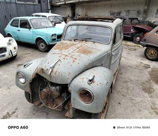 FIAT 500 usata 7
