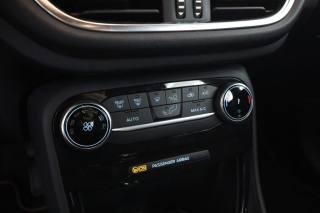 FORD Puma usata 11