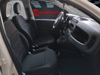 FIAT Panda usata 12