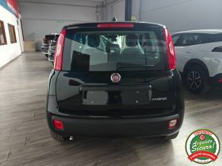 FIAT Pandina usata, con Airbag Passeggero