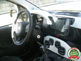 FIAT Panda usata, con Fendinebbia