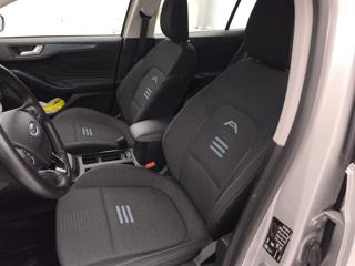 FORD Focus usata, con Cruise Control