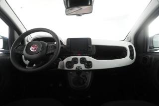 FIAT Panda usata 10