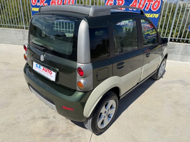 FIAT Panda usata, con Fendinebbia