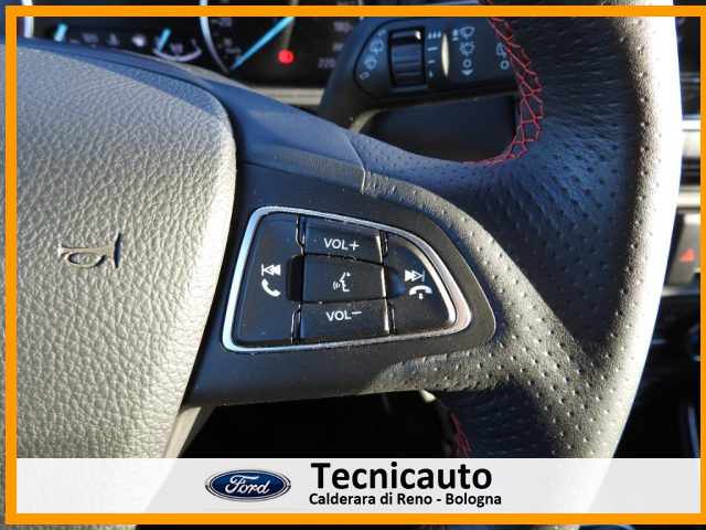 FORD EcoSport usata, con Bracciolo