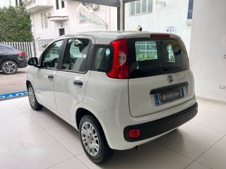 FIAT Panda usata, con Antifurto