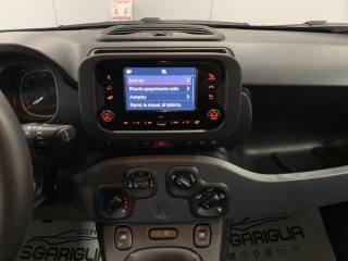 FIAT Panda usata, con Park Distance Control