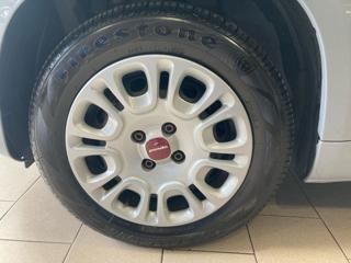 FIAT Panda usata 14