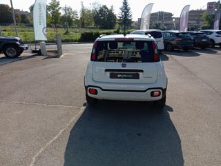 FIAT Panda Cross usata, con Antifurto
