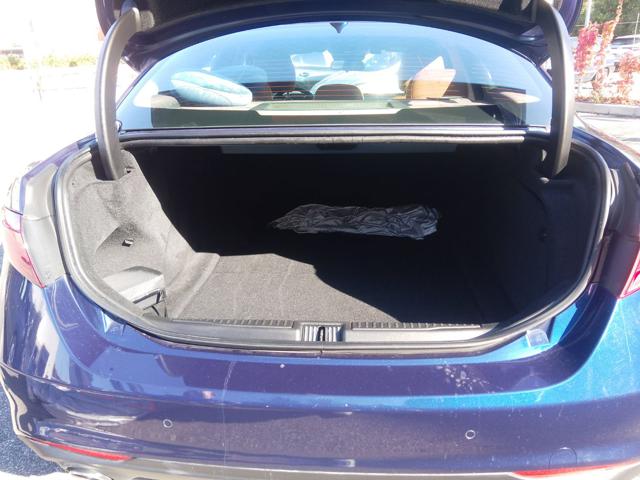 ALFA ROMEO Giulia usata, con Immobilizzatore elettronico