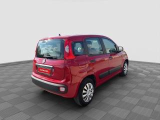 FIAT Panda usata 5