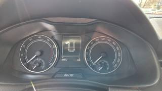 SKODA Kamiq usata, con Park Distance Control