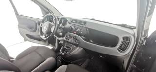 FIAT Panda usata 62