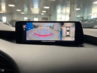 MAZDA 3 usata, con Climatizzatore