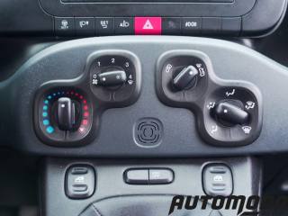 FIAT Panda usata 14
