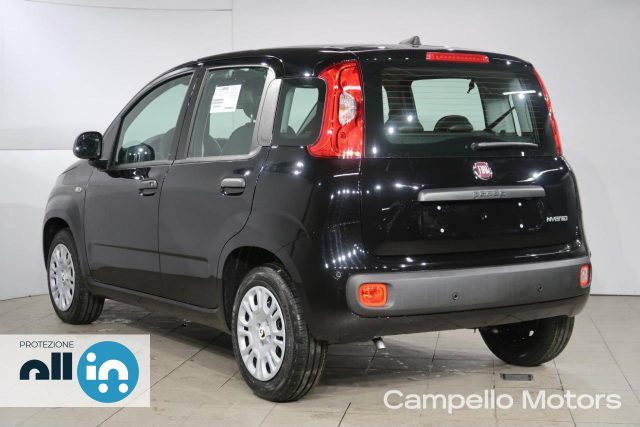 FIAT Panda usata 2