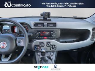 FIAT Panda usata, con Fendinebbia