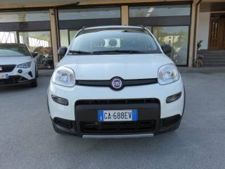 FIAT Panda usata, con Cronologia tagliandi