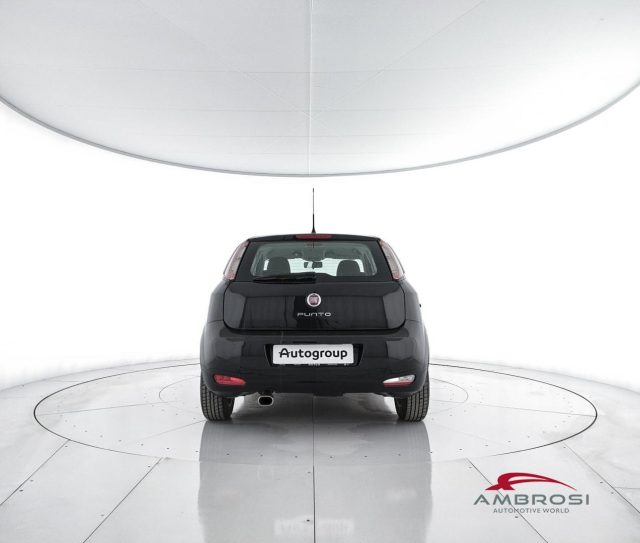 FIAT Punto usata 5