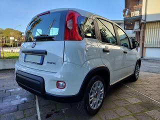 FIAT Panda usata, con Alzacristalli elettrici