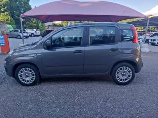 FIAT Panda usata, con Alzacristalli elettrici