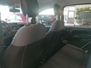 FIAT Panda usata 35