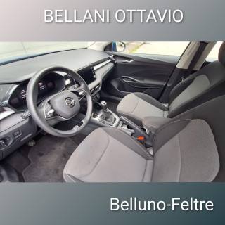 SKODA Fabia usata, con Cruise Control