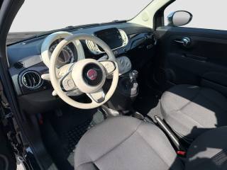 FIAT 500 usata 8