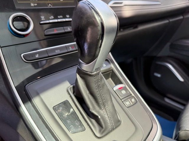 RENAULT Scenic usata, con Immobilizzatore elettronico