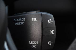 RENAULT Grand Scenic usata, con Luci diurne LED