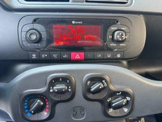 FIAT Panda usata 13
