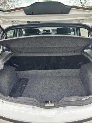 FIAT Punto usata 12