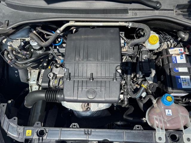 FIAT Punto usata 13