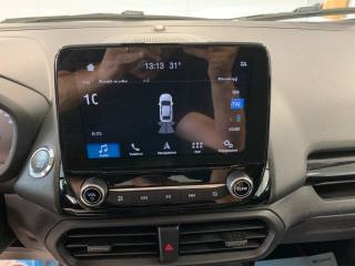 FORD EcoSport usata, con Cronologia tagliandi