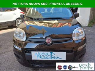 FIAT Panda Pandina 1.0 FireFly S&S Hybrid Icon 5°posto Km0