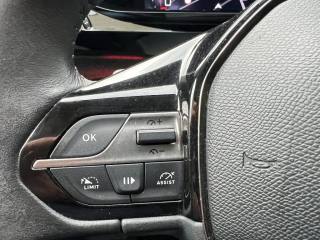 PEUGEOT 308 usata 19