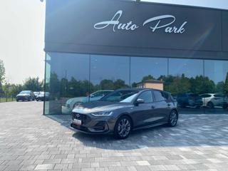 FORD Focus 1.5 EcoBlue 115 CV automatico 5p. ST-Line