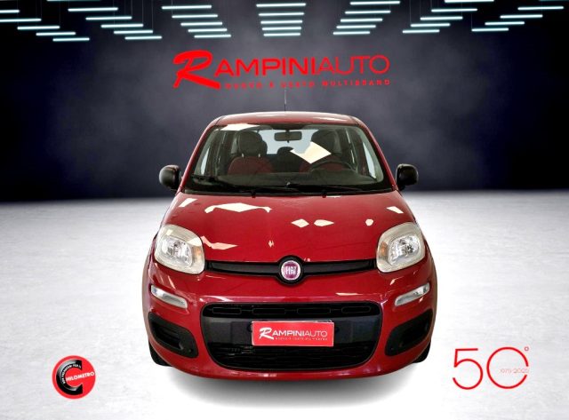 FIAT Panda usata 2