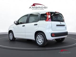 FIAT Panda usata 3