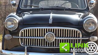 FIAT 1100 usata 22