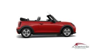 MINI Cabrio usata 5