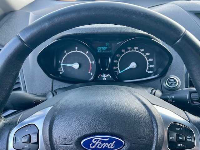 FORD EcoSport usata, con Airbag testa