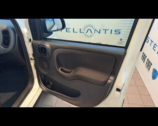 FIAT New Panda usata 18